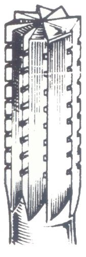 Dentorium Tungsten Carbide Cutters FISSURE CYLINDER