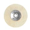 Dentorium Flannel Wheels Sliced Mounted