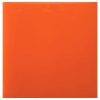 Mouthguard Resin Sheets Coloured 4mm