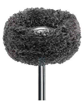 Dentorium Scotchbrite Mounted