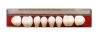 Dentoluxx Premium Acrylic Teeth LOWER POSTERIOR