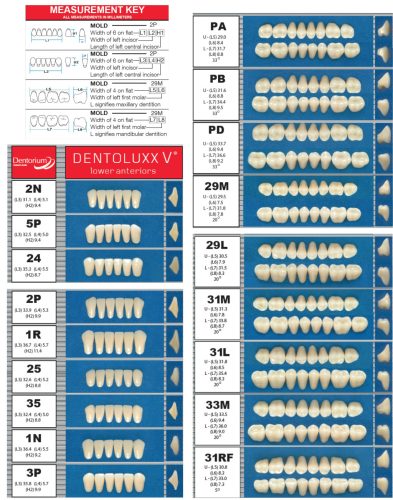 Dentoluxx Premium Acrylic Teeth LOWER POSTERIOR