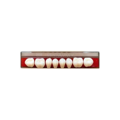Dentoluxx Premium Acrylic Teeth LOWER POSTERIOR