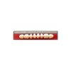 Dentoluxx Premium Acrylic Teeth UPPER POSTERIOR