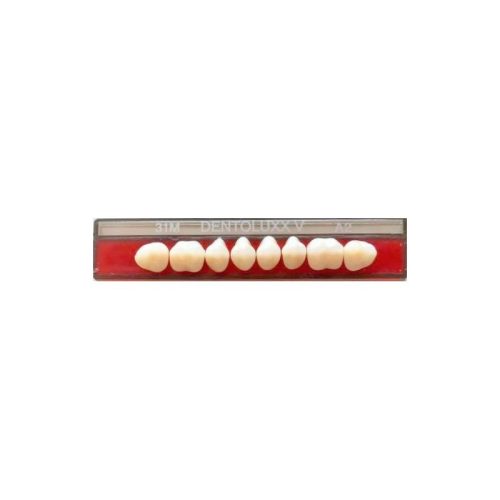 Dentoluxx Premium Acrylic Teeth UPPER POSTERIOR