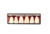 Dentoluxx Premium Acrylic Teeth UPPER ANTERIOR