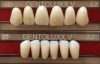 Dentoluxx Premium Acrylic Teeth UPPER ANTERIOR