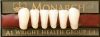 Monarch Superior 3-Layered Acrylic Teeth LOWER ANTERIOR
