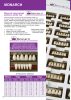 Monarch Superior 3-Layered Acrylic Teeth LOWER ANTERIOR