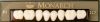 Monarch Superior 3-Layered Acrylic Teeth LOWER POSTERIOR