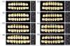 Monarch Superior 3-Layered Acrylic Teeth UPPER POSTERIOR