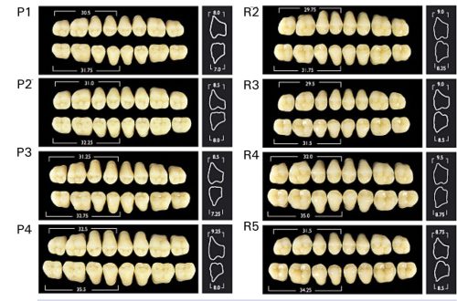 Monarch Superior 3-Layered Acrylic Teeth UPPER POSTERIOR